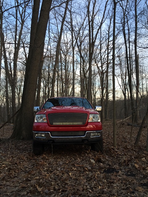 F150 Picture of the Day-image-1830917364.jpg