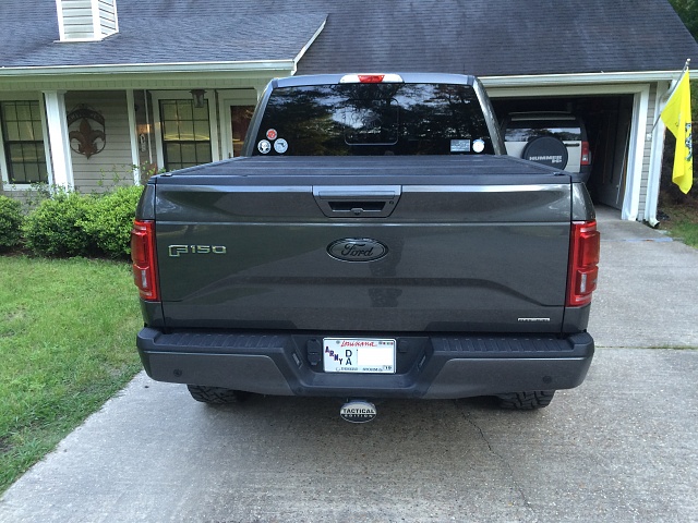F150 Picture of the Day-f150-rear-badge.jpg