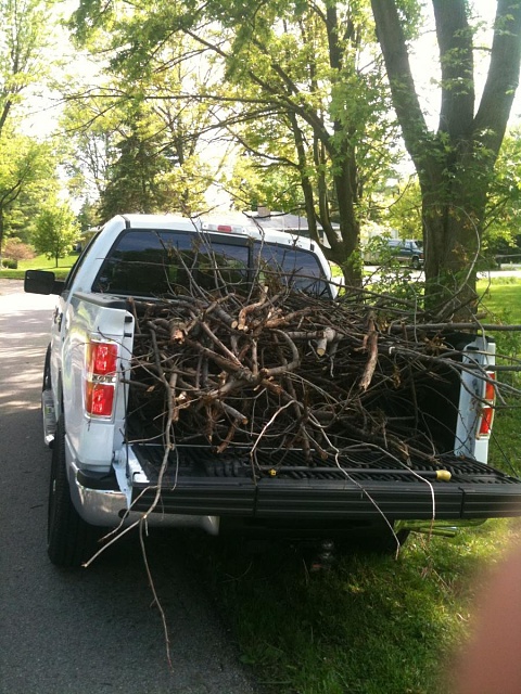 My Truck @ Work: Post pics of your F150 work horse-sticksf150.jpg