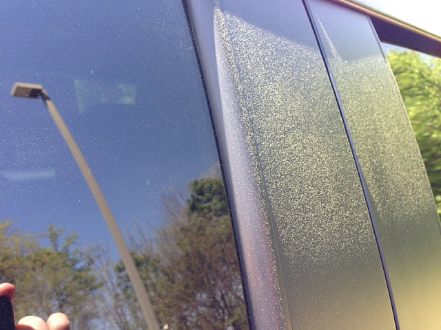 Pollen season in GA-image-3112777077.jpg