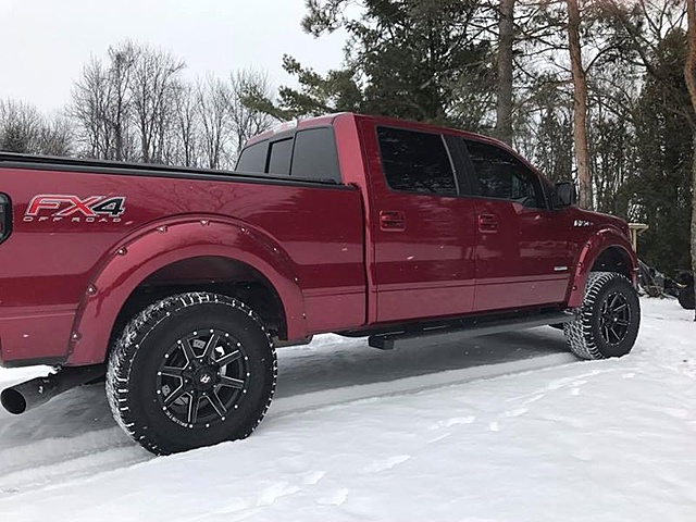 New Here! 2013 FX4-16473611_10154101048332307_1524226070364242336_n.jpg