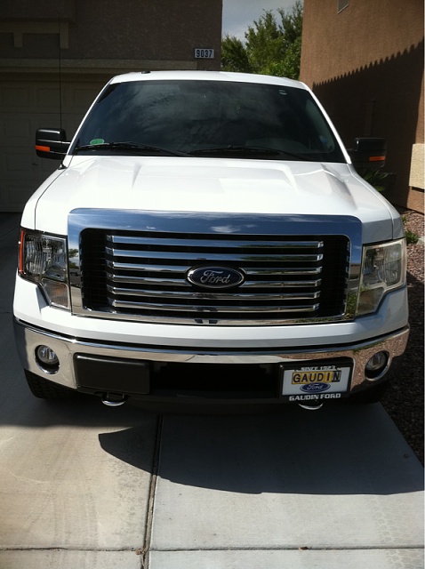 New F150 owner-image-1760174155.jpg