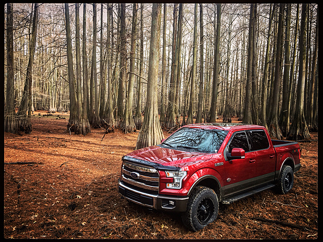 Poll: April 2017 Truck of the Month-photo647.jpg