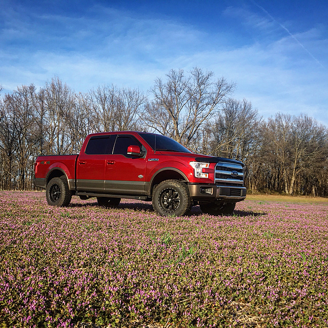 Poll: April 2017 Truck of the Month-photo496.jpg