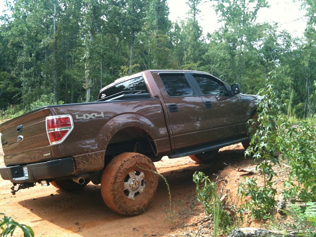 Lets see those off-road pictures-image-1531705288.jpg