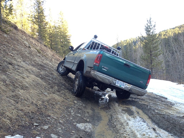 Lets see those off-road pictures-image-1772495648.jpg