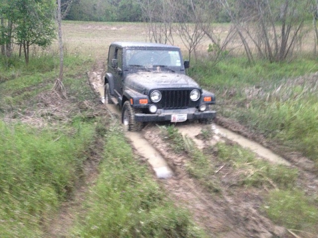 Lets see those off-road pictures-image-1474352995.jpg