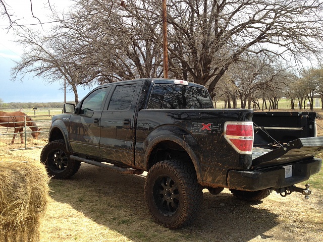 Post Your Lifted F150's-image.jpg
