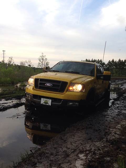 Post Your Lifted F150's-image-4007592852.jpg