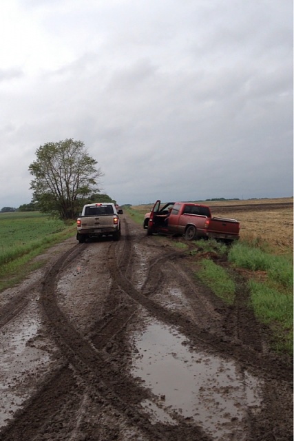 Post Pictures of the trucks you go out with muddin'!-image-1426407375.jpg