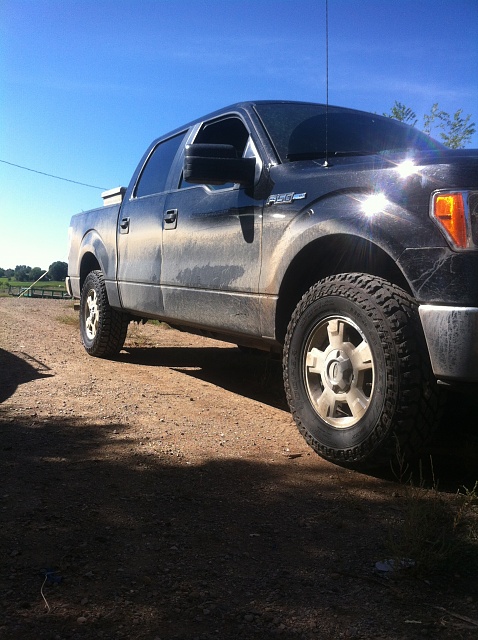 Post Your Lifted F150's-img_6885.jpg