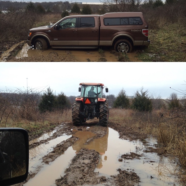 First time stuck in the mud-image-2980084396.jpg