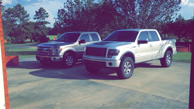 Post Your Lifted F150's-image-4055832958.jpg