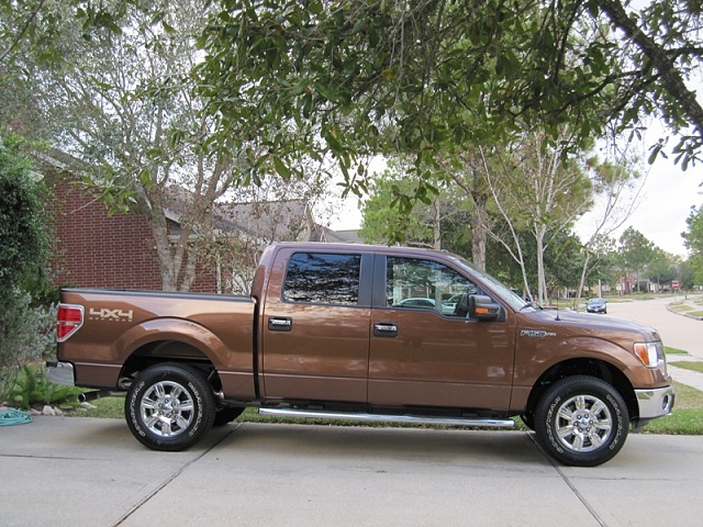 Any Golden Bronze Trucks out there?-img_4178-rtesize.jpg