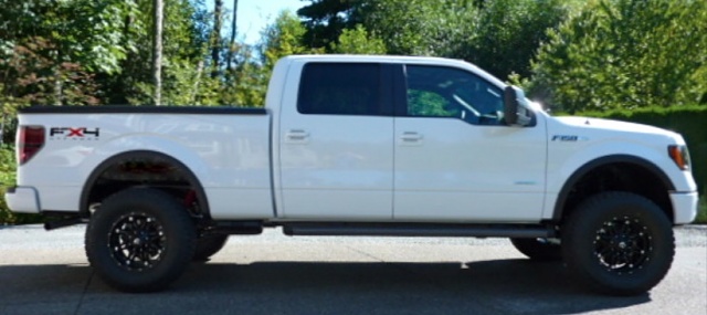 4'' Rancho or 4'' BDS-2011f150ecoscrewfx4.jpg