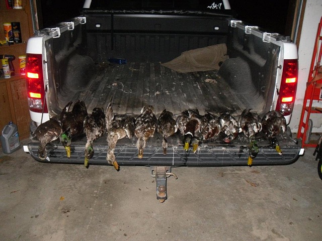 Is it hunting season-nayauquiq-pt-ducks.jpg