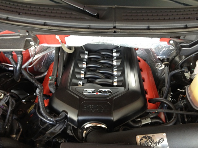 5.0 Engine Cover Installed!!-image-1039433713.jpg