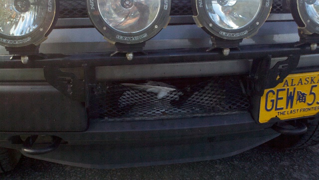 Ecoboost Owners: Grill Cover or Naked?-forumrunner_20121009_224449.jpg