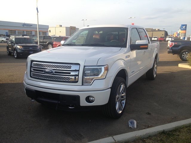 Would you trade in your 2012 F150 Eco Platinum for the new Ford F150 Eco Limited 2013-image-3117390096.jpg