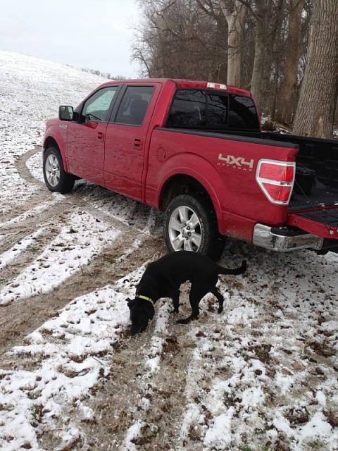 Pics of your truck in the snow-image-2125906659.jpg