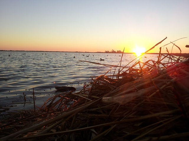 A Sad Weekend For South Louisiana... Hunting Pic Heavy-2013-01-20-07.15.02.jpg