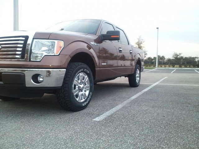 Lets see those Leveled out f150s!!!!-my-truck-2.jpg