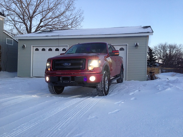 Lets see those Leveled out f150s!!!!-image-2687661237.jpg