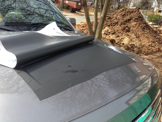 Appearance package hood decal-image-3864839335.jpg