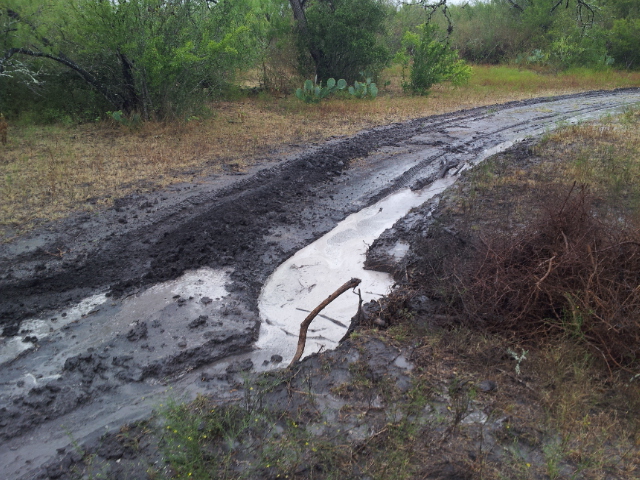 Mudding with Trail Graps!-20120916_152931.jpg
