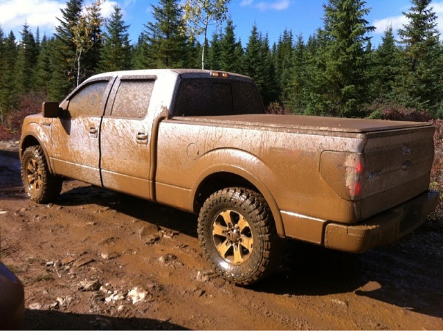 Mudding with Trail Graps!-image-803872578.jpg