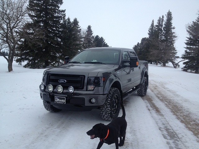 Off road lights (preferably lightforce) and 2013's-image.jpg