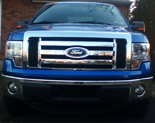 Let's see the Blue Fords!!!!-image-815291042.jpg