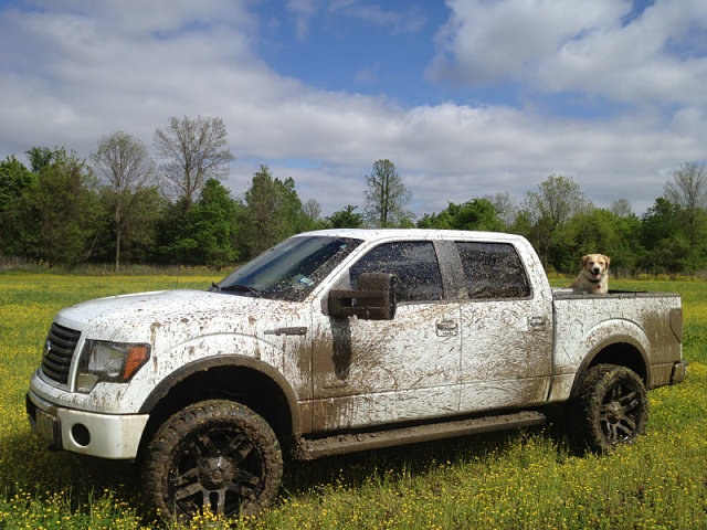 Lets see your F150 with some scenery!-image-1294856128.jpg