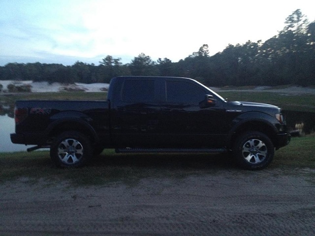 Lets see your F150 with some scenery!-image-1955362907.jpg