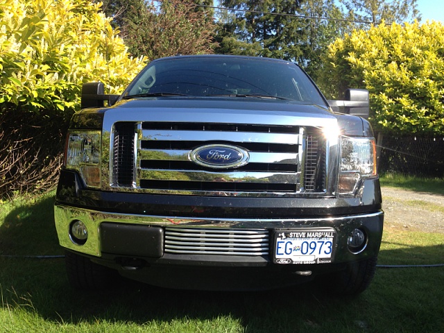 Grill to cover space in Front Bumper-image-4130697232.jpg