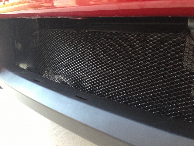 Grill to cover space in Front Bumper-image.jpg