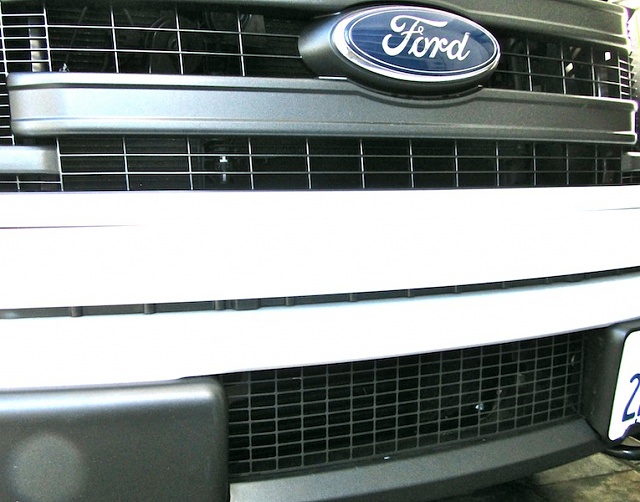 Wagner Tuning Lower Grille for 2013+ Platinum-img_2872.jpg