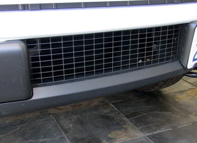 Wagner Tuning Lower Grille for 2013+ Platinum-img_2873.jpg
