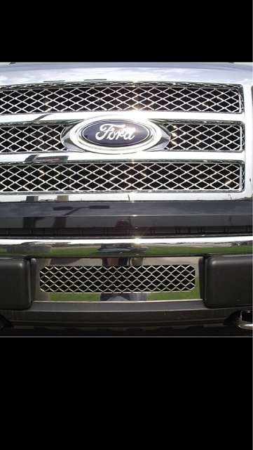 Grill to cover space in Front Bumper-image-500328887.jpg
