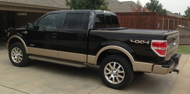 What is your faorite new color on the F150?-image-4204031556.jpg