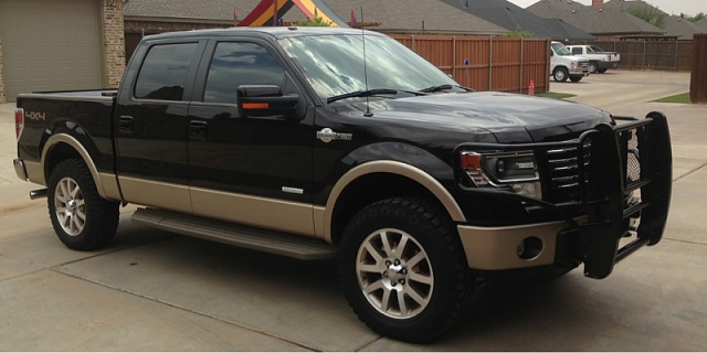 What is your faorite new color on the F150?-image-646306524.jpg