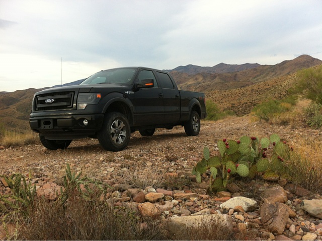 Lets see those Leveled out f150s!!!!-image-311177246.jpg