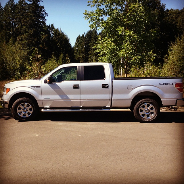How many f150's are in your immediate family?-image-3024829328.jpg