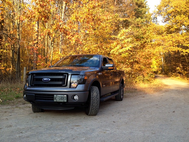 Lets see your F150 with some scenery!-image-1800765289.jpg
