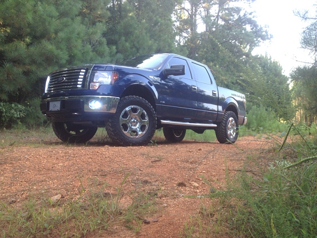Lets see those Leveled out f150s!!!!-image-490688518.jpg