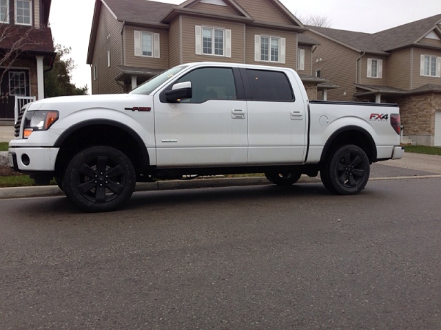 Lets see those Leveled out f150s!!!!-image-1863906856.jpg