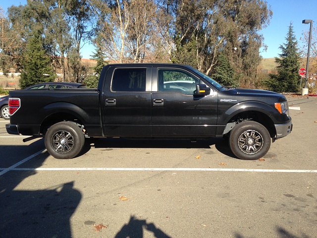 Lets see those Leveled out f150s!!!!-image-1751232619.jpg