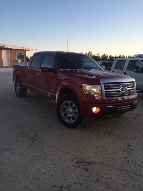 Lets see those Leveled out f150s!!!!-image-523094146.jpg