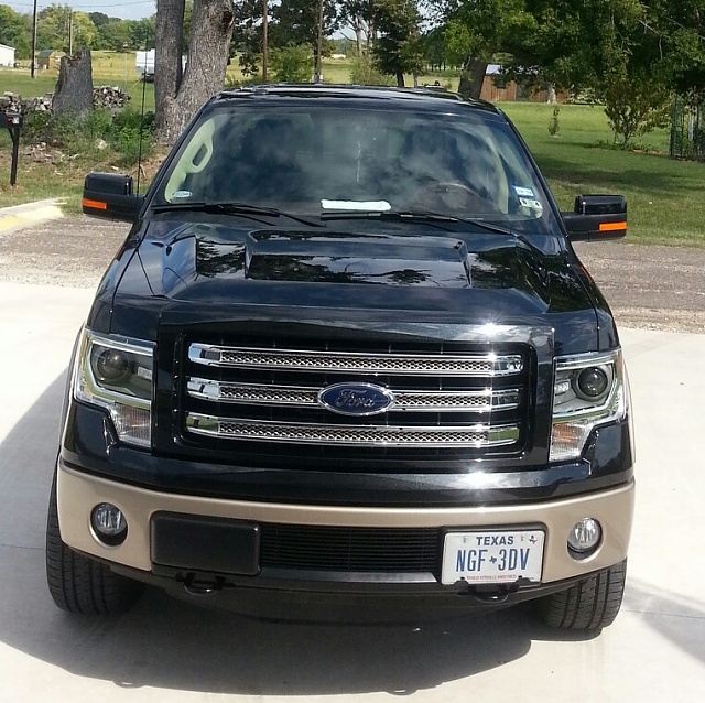 No more Ford license plate-20130927_1442502.jpg