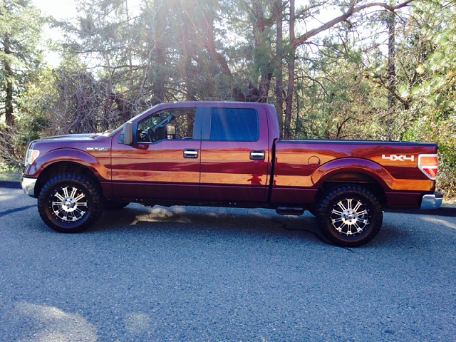 Lets see those Leveled out f150s!!!!-image-3475026506.jpg